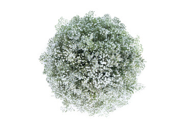 Many kinds of beautiful flowers is arranged in a circle can be decorated