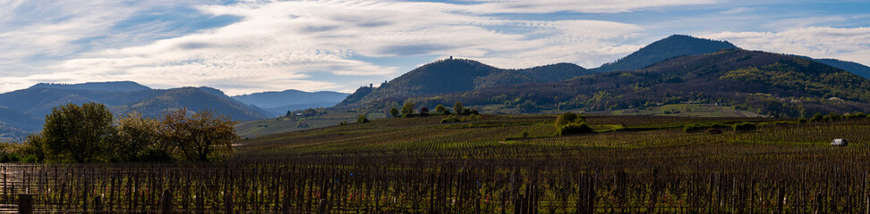 Ribeauvillé, ses trois châteaux, son vignoble sur les collines du piémont des Vosges, CEA, Alsace, Vosges alsacienne, Grand Est, France