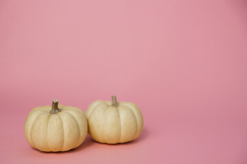 Two white pumpkins on a pastel pink backdrop with copy space for an ad or background