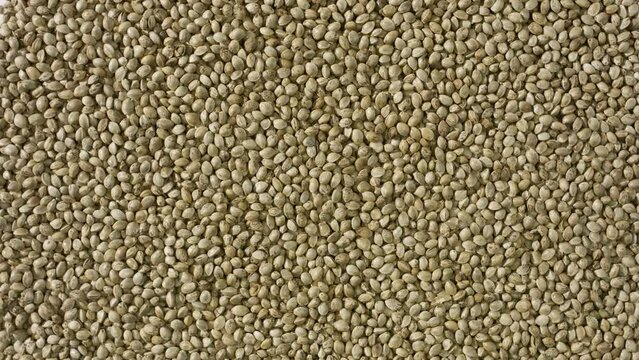 Background shot for body care cosmetics with hemp seed oil commercial | Top view extreme close-up turntable shot of hemp seeds backgrounds