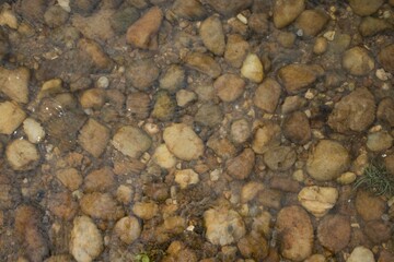 Textura de seixos na praia de Pedrinhas, no Rio São francisco, em Petrolina, Pernambuco