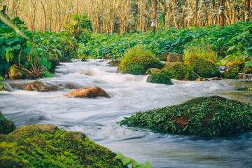 Fototapeta na wymiar Long exposure shot of a river in the forest