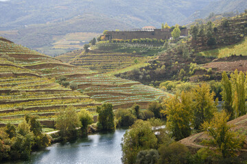 Landscape view of the beautiful douro river valley in Portugal