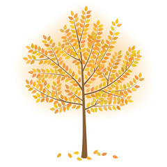 Fototapeta premium autumn tree with leaves