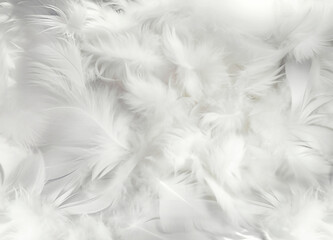 Abstract soft white feathers background