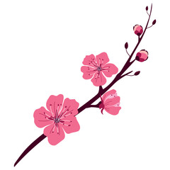 A branch of beautiful spring cherry blossoms on a white background. Vector illustration for decoration, postcards, print