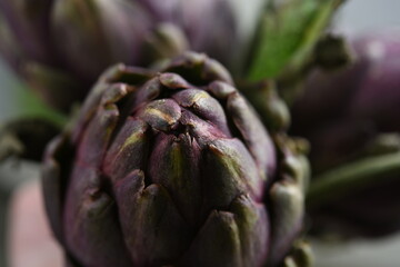 close up of purple artichoke heads