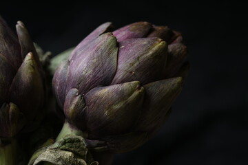 Obraz premium close up of purple artichoke heads