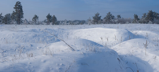 winter snowbound forest glade at bright day, seasonal forest landscape © Yuriy Kulik