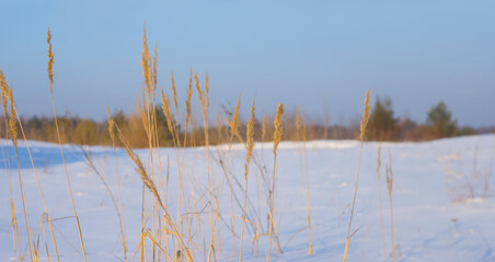 snowbound prairie at bright winter day