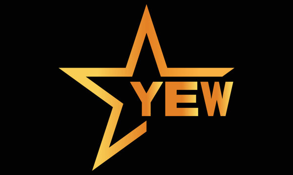 YEW golden luxury star icon three letter logo design vector template. royal logo | luxury logo | jewelry logo | premium logo | iconic logo | Victoria logo |	