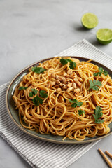 Homemade Asian Peanut Sauce Noodles on a Plate, side view. Copy space.