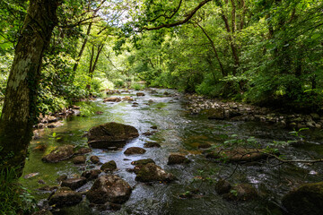 Detail of Rapids Between Moss Covered Boulders on the River Teign, Devon