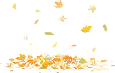 Fototapeta premium Autumn leaves flies in wind isolated illustration, multicolored dry leaves circling in air, flying autumn leaves