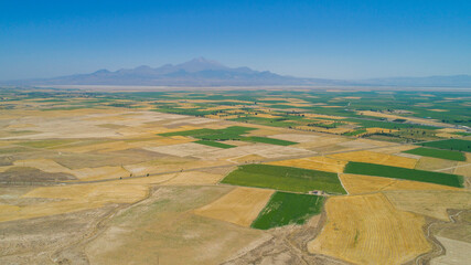 view from the top of the hill