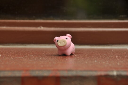Cerdito borrador