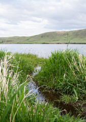 path to the lake . Tranquil Trails: Green Pathways and Serene Lake Views