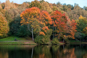 Autumn Landscape with Water and Reflection on it.