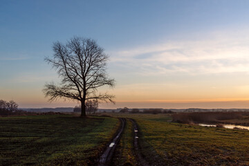 Poranek w Dolinie Narwi, Podlasie, Polska