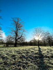 Beautiful frosty winter morning in London park. Bright sun makes trees shadows astonishing. Footpaths and grass are covered with sparkling ice and frost. Deep blue sky makes it a perfect day for walk