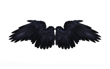3d Illustration of Crow wing, Demon Wings, Black Wing Plumage Isolated on Black Background