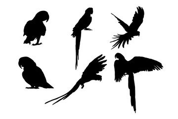 Set of silhouettes of macaws vector design