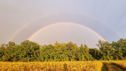 double rainbow over forest, summertime