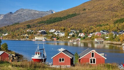 Kaldfjordbotn summer, Tromsø, Norway