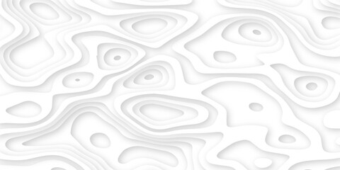 Abstract wavy line 3d paper cut white background. Topographic canyon geometric map relief texture with curved layers and shadow. Abstract realistic papercut decoration textured with wavy layers	