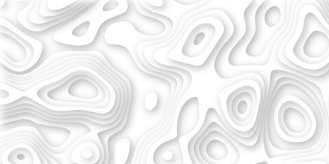 Abstract wavy line 3d paper cut white background. Topographic canyon geometric map relief texture with curved layers and shadow. Abstract realistic papercut decoration textured with wavy layers	
