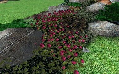 3d image of landscape design of a personal plot. Composition of a group of plants trees, bushes and flowers. Computer visualization of compositional solutions for the improvement of the local area.