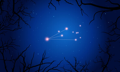Vector illustration Pictor constellation. Tree branches, dark blue starry sky