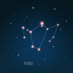Obraz na płótnie Canvas Constellation scheme in starry sky. Open space. Vector illustration Phoenix constellation through a telescope
