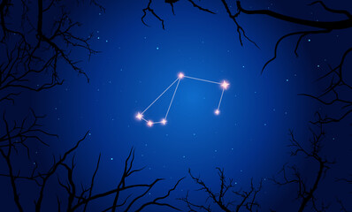 Vector illustration Tucana constellation. Tree branches, dark blue starry sky