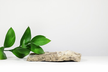 Creative layout of colorful riskus leaves on a white background in the rays of the sun, with shadows. Showcase with green leaves and stone natural podium pedestal, eco podium and platform.