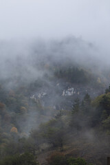 autumn and fog in the mountains. vertical photo. Photo wallpaper with mountain view, space for text