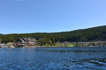 Fototapeta premium On the Lake Titisee with a view of the shore