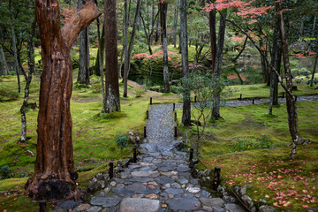 Autumn leaves at Saiho-ji temple, UNESCO World Heritage Site, Kyoto, Japan