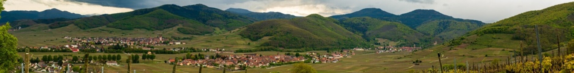 Obraz premium Villages viticoles au cœur du vignoble alsacien, piémont du massif des Vosges, CEA, Alsace, Vosges alsacienne, Grand Est, France