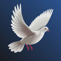 White dove in flight. Vector color illustration.