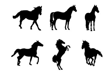 Set of silhouettes of horses vector design