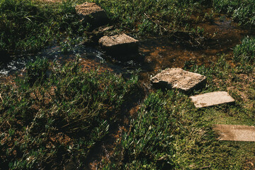 stepping stones across a small brook
