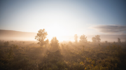 Obraz na płótnie Canvas Sunrise on misty tundra