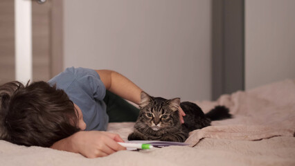 preteen boy hugging a kitten. Child relaxing on the bed with his grey cat. Little kid with his animal. Little boy hugging a kitten. Toddler and kitty
