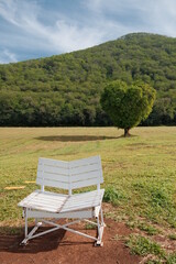 The lonely chair 