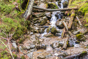 Mountain stream flowing through the spring forest. Waterfall in Poland, Zakopane. Tatra Mountains