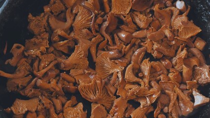 Chanterelles mushrooms are fried in a pan.