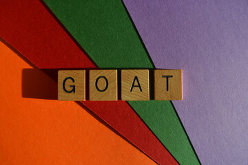GOAT acronym for Greatest of All Time