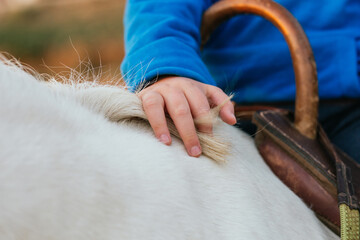 Boy with cerebral palsy holding the hair of a horse