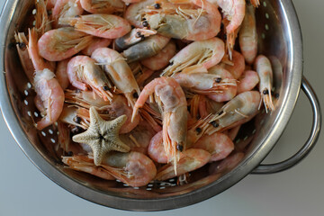 Shrimp and  one starfish in a mettalic colander